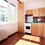 Rent 1 bedroom apartment of 33 m² in Znojmo