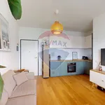 Rent 2 bedroom apartment of 45 m² in Milano