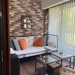 Rent 3 bedroom apartment in İstanbul