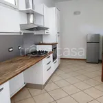 Appartamento in affitto a Castel Bolognese , arredato, giardino privato, cucina abitabile - TrovaCasa