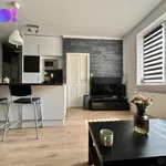 Rent 2 bedroom apartment in Frýdek - Místek