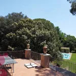 Rent 10 bedroom house of 320 m² in Todi