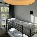 Miete 2 Schlafzimmer wohnung von 62 m² in Leipzig