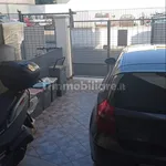 Affitto 2 camera appartamento di 60 m² in Porto Cesareo