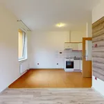 Pronájem byty 2+kk, 40 m2 - Chýnov