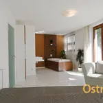 Rent 3 bedroom apartment of 145 m² in Ostrava