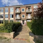 Rent a room of 25 m² in Groene Weide