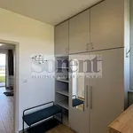 Pronájem bytu 1+kk 45m²