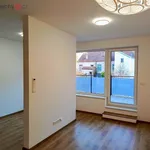 Pronajměte si 1 ložnic/e byt o rozloze 47 m² v České Budějovice