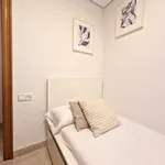 Rent 5 bedroom apartment in Valencia