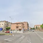 Rent 4 bedroom apartment of 110 m² in Pavia