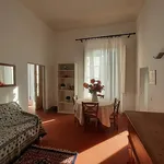 Rent 3 bedroom apartment of 65 m² in Florence