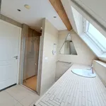 Rent 1 bedroom apartment of 70 m² in Werkendam