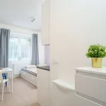 Studio o rozloze 23 m² v prague