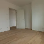 Rent 3 bedroom apartment of 102 m² in Leipzig