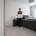 Rent 1 bedroom apartment in berlin