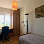 Rent a room of 78 m² in madrid