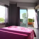 Rent 3 bedroom apartment in Toulouse