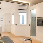 Rent 1 bedroom apartment in madrid