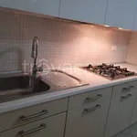 Rent 1 bedroom apartment of 36 m² in Pescara