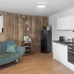 Rent 1 bedroom apartment of 55 m² in Essen