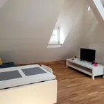 Rent 2 bedroom apartment of 45 m² in Marburg