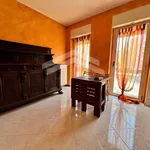 Rent 2 bedroom apartment of 50 m² in Campobasso