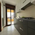 Rent 2 bedroom apartment of 65 m² in Novara