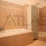 Rent 3 bedroom apartment of 160 m² in Prague