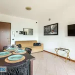 Rent 2 bedroom apartment of 55 m² in Milan