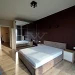 Rent 3 bedroom apartment of 75 m² in Lublin