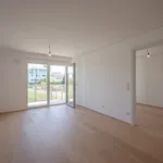 Rent 2 bedroom apartment of 50 m² in Vienna