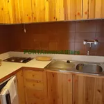 Rent 2 bedroom apartment of 53 m² in Frabosa Sottana