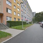 Pronajměte si 2 ložnic/e byt o rozloze 40 m² v Brno