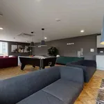 Rent 1 bedroom apartment in Newcastle-under-Lyme