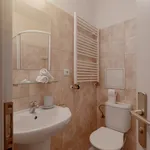 Rent 1 bedroom apartment of 28 m² in Prague