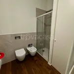 Rent 3 bedroom apartment of 70 m² in Padova