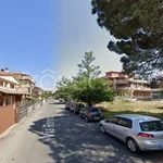 Affitto 1 camera appartamento di 38 m² in Roma