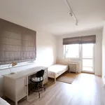 Rent 3 bedroom apartment of 56 m² in Rzeszów