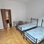 Rent 4 bedroom apartment of 100 m² in Bologna