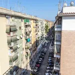 Rent a room of 80 m² in rome