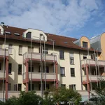 Rent 1 bedroom apartment of 24 m² in Mannheim