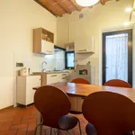 Rent 1 bedroom apartment in Florence