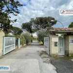 Rent 4 bedroom house of 140 m² in Rome