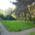 Rent 2 bedroom apartment of 58 m² in Herne