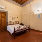 Rent 1 bedroom apartment in Florence