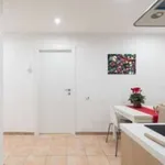 Rent 3 bedroom apartment in rome