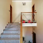 Rent 3 bedroom apartment of 60 m² in L'Aquila