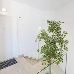 Rent 1 bedroom apartment in Lisbon