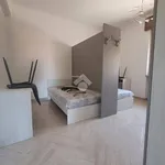 Rent 4 bedroom apartment of 120 m² in Verona